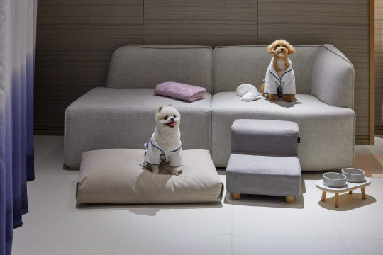 '미 앤 마이 펫' 패키지 홍보 이미지. 시그니엘 부산 제공